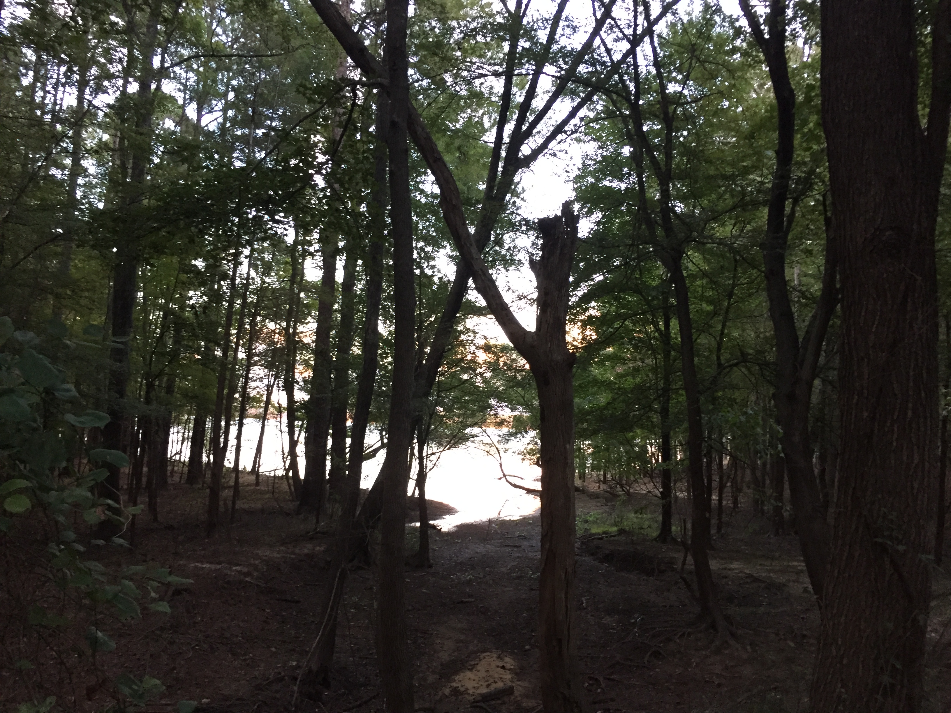 ./2019/08 - Jordan Lake/IMG_1120.JPG